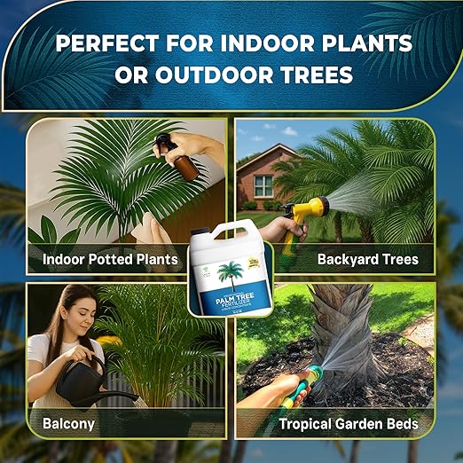 Leaves and Soul Professional Palm Tree Fertilizer Liquid Concentrate - 6-4-6 Blend for Tropical Plant Fertilizer, Garden Use - Liquid Plant Food for Palm Trees and Bushes Outdoors - 32oz