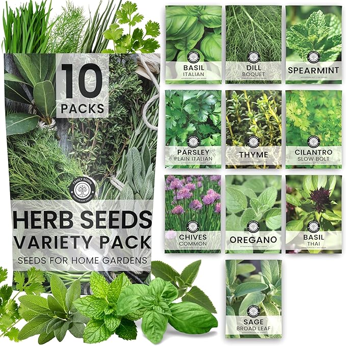 Herb Seeds | 10 Invidiual Packs | 2026 Season | Non-GMO | Mint, Parsley, Basil, Thyme & More! | for Planting Indoor & Outdoor | by Family Sown