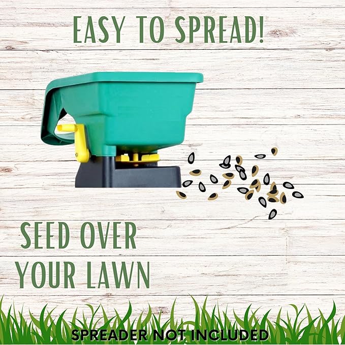 Flawn Seed Kits Simple Lawn Mow Less Fine Fescue Grass Seed, 2 lbs, Low Maintenance, Shade Tolerant, Covers up to 1000 Sqft