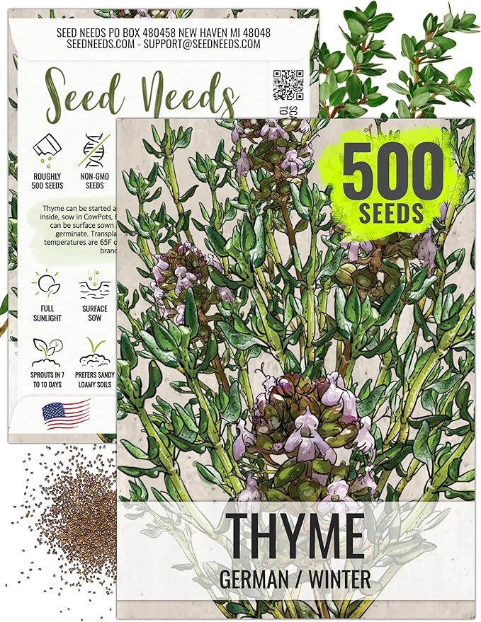 Seed Needs Thyme Seeds for Planting - Non-GMO Heirloom & Untreated Perennial Herb Seed to Plant a Culinary Kitchen Garden Indoors or Outdoors (1 Pack)
