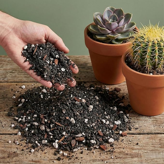 2.5 Dry Qt Cactus & Succulent Potting Soil Mix, USA Made - Gritty, Fast Draining, Soilless, Root Boosting, Peat-Free - Growth of Cactus, Succulents, Jade, Aloe Vera