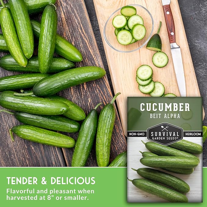 Beit Alpha Cucumber Seeds for Planting | Crisp Burpless Variety with Smooth Skin – Heirloom, Non‑GMO – Survival Garden Seeds (3 Packs)