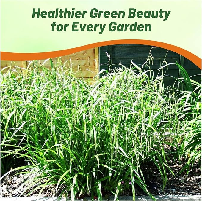 Outsidepride Carex Fresh Look Ornamental Grass Seed – 200 Pcs. Perennial, Low-Maintenance, Drought-Tolerant Grass Seeds with Low Growing Foliage for Borders, Ground Covers, & Outdoor Living Spaces