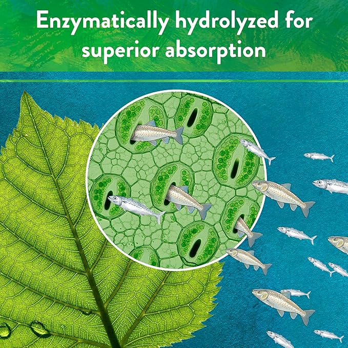 Down To Earth All Natural Fertilizers Organic Solution Grade Fish Powder - Water Soluble Nitrogen - Makes up to 50 Gallons of Liquid Fish Fertilizer for Soil or Foliar Spray 12-1-1, 1 lb