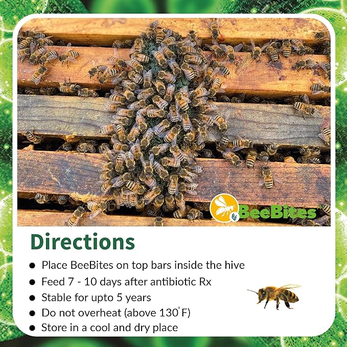 STRONG MICROBIALS BeeBites: SuperFood for Healthy Hives - Honey Bee Fondant with Spirulina and Chlorella - Probiotics Powered by Algae - Best Food for Queen Immunity - 10 Bars (50g Each)