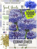 Seed Needs Cornflower Seeds for Planting Dwarf Blue Bachelor's Button Wildflowers - Heirloom & Open Pollinated Flowers to Plant and Grow an Outdoor Home Grown Butterfly Garden (1 Pack)