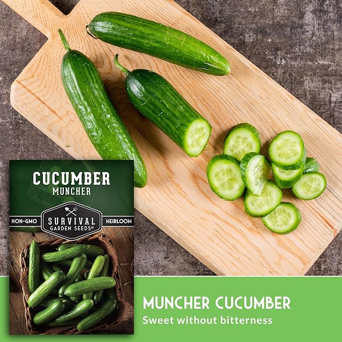 Muncher Cucumber Seeds for Planting | Burpless Variety with Smooth Skin for Snacking or Slicing – Survival Garden Seeds (5 Packs)