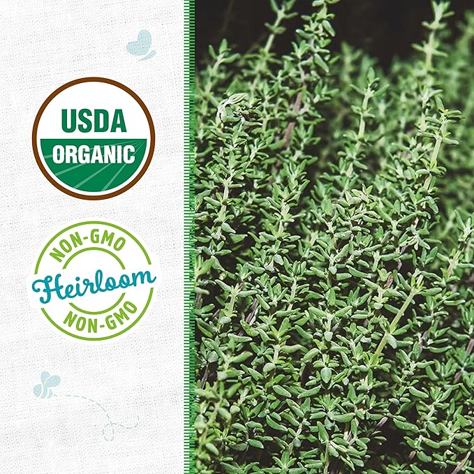 Back to The Roots 100% Organic Seed Packet - Thyme 'English' 70mg