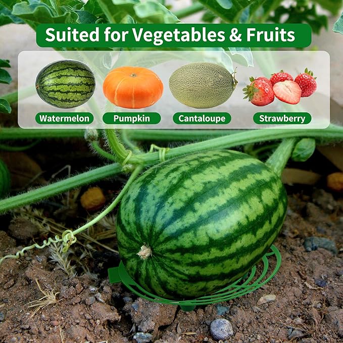 15 Pack Melon Cradle for Garden Pumpkin Support Stand Trellis,Avoid Ground Rot,Plastic Plant & Garden Support for Pumpkin Watermelons Squash Strawberries(Green)