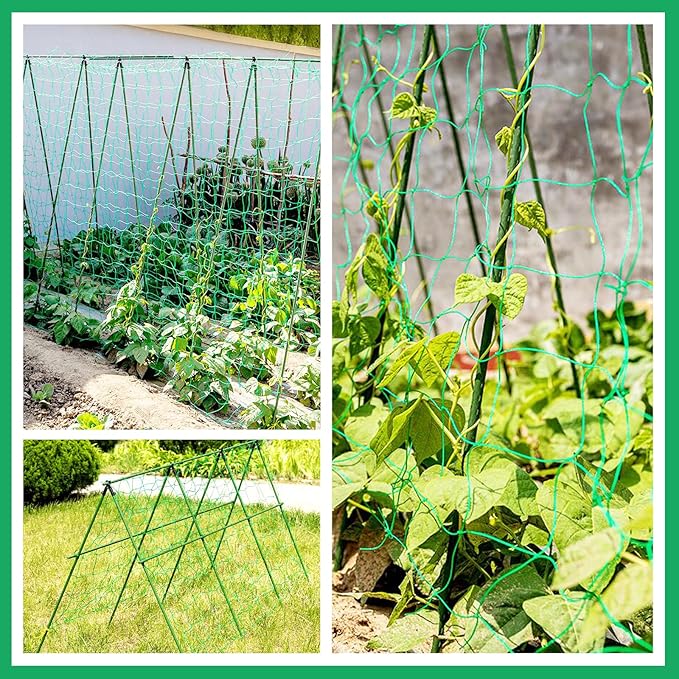 KINGLAKE GARDEN Trellis Netting for Climbing Plants 6 Ft x 12 Ft Green Garden Plant Netting Heavy-Duty Plastic Plant Trellis Netting for Tomato, Cucumber, Plants, Fruits, Flowers