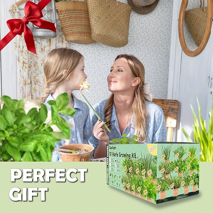 5 Herb Window Garden Kit Indoor - Herb Seeds for Indoor & Outdoor Planting, Gardening Gift for Kids, Moms, Women, Beginners - Complete Starter Kit with Pots, Soil, Basil, Mint, Thyme, Parsley