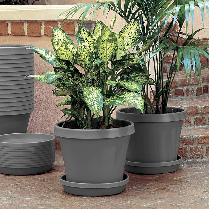Bloem Terra 8" Diameter Round Charcoal Resin Planter Pot with Drainage Holes for Indoor and Outdoor Gardening