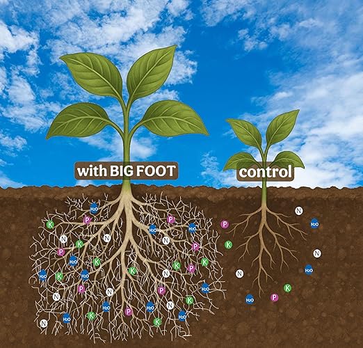 Big Foot Mycorrhizae for Plants, Potted Plants and Gardens - Concentrate Fully Dissolves in Water, Year Round Organic Fertilizer for Root Growth and Healthy Soil - 4 Ounces