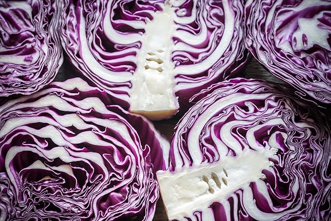 Red Acre Cabbage Seeds for Planting – Plant & Grow Heirloom Red Acre Cabbage in Home Outdoor Vegetable Garden, Brassica oleracea VAR. capitata– 1 Packet Approx 200 Seeds