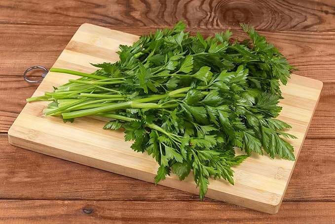 TKE Farms & Gardens - Italian Flat Leaf Parsley Seeds for Planting, 600+ Heirloom Non-GMO Seeds, Perfect for Indoor and Outdoor Gardens, Petroselinum crispum, Qty 1