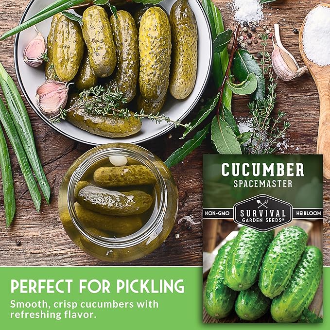 Spacemaster Cucumber Seeds for Planting | Compact Heirloom Non-GMO Variety for Small-Space Gardens – Survival Garden Seeds (5 Packs)