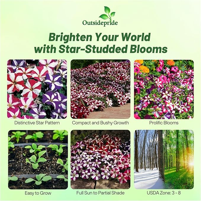 Outsidepride Star Multiflora Petunia Seeds - 1000 Pcs. Annual, Compact, Flower Seeds for Planting, Vibrant Blooms, Ideal for Garden Beds, Hanging Baskets & Container Displays