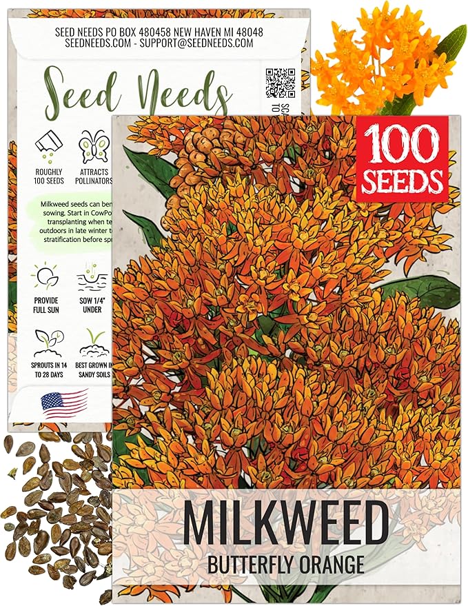 Seed Needs Orange Milkweed Seeds for Planting Butterfly Weed - Heirloom & Untreated Perennial Flower Seed to Grow a Monarch Butterfly Garden (1 Pack)