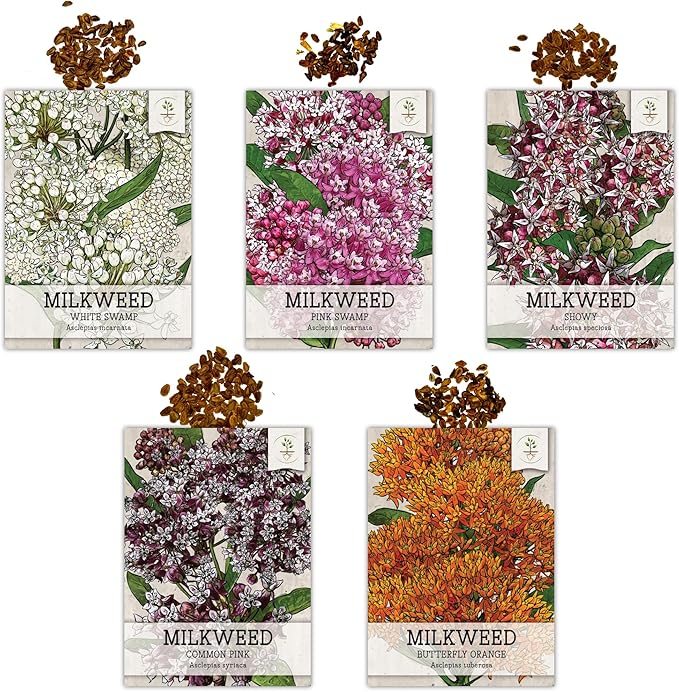 Seed Needs Milkweed Seeds for Planting a Butterfly Garden to Attract Monarch Butterflies - Collection of Pink, Orange & White Asclepias Milk Weed Variety Pack (5 Packs)