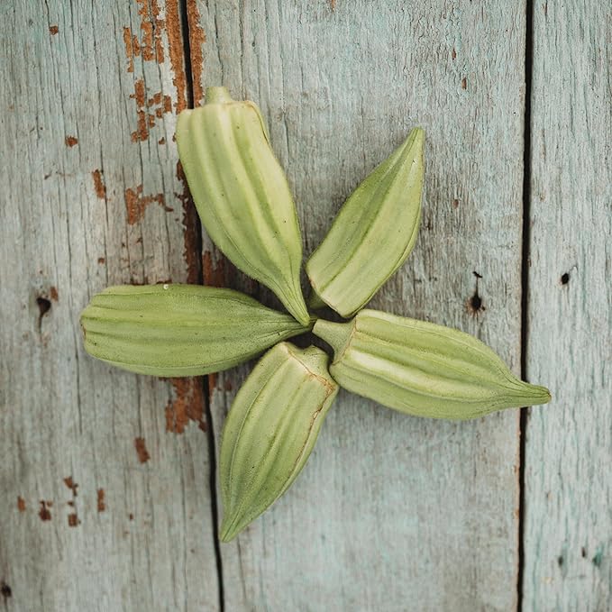 Star of David Okra - 50 Seeds - Tender & Delicious Heirloom Okra Variety, Non-GMO Heirloom Okra Seeds for Planting in The Home Garden, Thresh Seed Company
