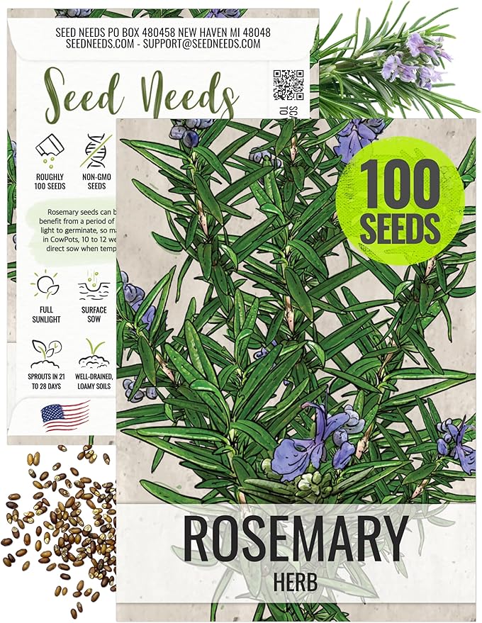 Seed Needs Rosemary Seeds for Planting - Non-GMO Heirloom & Untreated Perennial Herbs to Plant a Medicinal & Culinary Kitchen Garden Indoors or Outdoors (1 Pack)