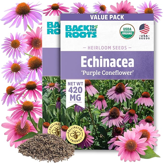 Back to The Roots 100% Organic Heirloom Seeds - Coneflower Value Pack (420mg Total)