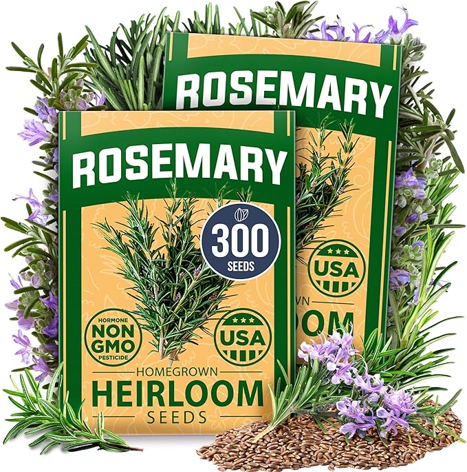 HOME GROWN 4-Pack Herb Seeds Bundle – 15 Culinary Herbs (4,500+), White Sage (646), Rosemary (300), Thai Basil (876) – Non-GMO, USA Heirloom Indoor Outdoor Garden Kit for Growing Fresh Herbs
