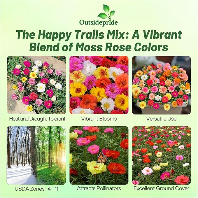 Outsidepride Mixed Moss Rose Seeds - 500 Pcs Annual, Drought & Heat Tolerant, Pollinator Friendly Ground Cover Seeds for Planting w/Vibrant Blooms & Succulent Foliage, Ideal for Xeriscaping