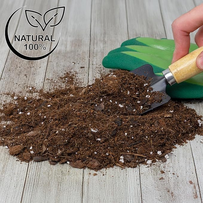 Soil Sunrise Aroid Plant Potting Soil Mix (8 Quarts) for Pothos Devil's Ivy, ZZ Plant, Chinese Evergreen, Dumb Cane Philodendron, Syngonium, Alocasia, Colocasia Etc.