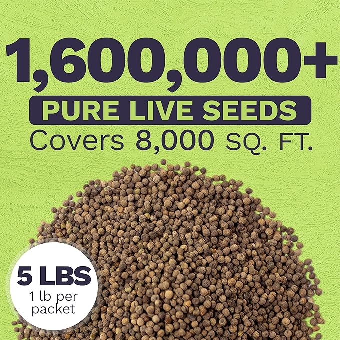 Bulk California Orange Poppy Wildflower Seeds - 5 Pounds - Over 1,600,000 Native Seeds - California State Flower!