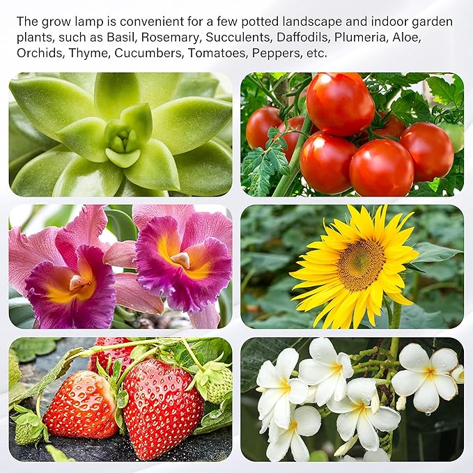 iPower 40W LED Plant Grow Light Strips Full Spectrum for Indoor Plants with Auto ON/Off 3/9/12H Timer, 10 Dimmable Levels 48 LEDs Per Light Strip, 3 Tubes, Red&Blue
