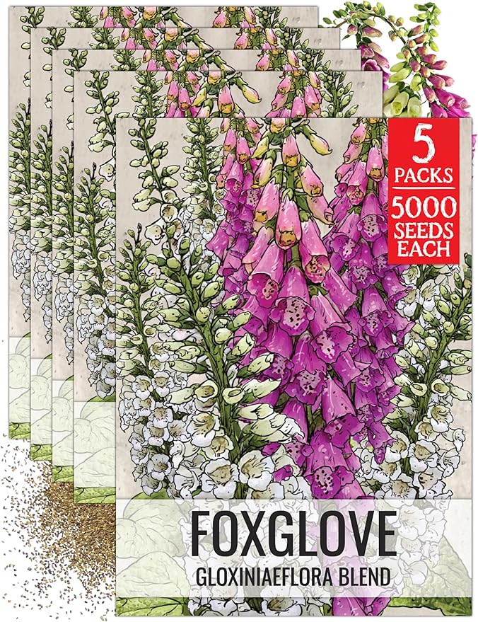 Seed Needs Gloxiniaeflora Foxglove Seeds for Planting Mixed Fox Gloves - Heirloom & Open Pollinated Flowers to Plant an Outdoor Butterfly Garden with Colorful Wildflowers (5 Packs)