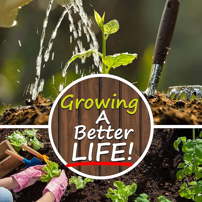 Organic Purple Thai Round Eggplant 1 Lb ~108,768 Seeds – Non-GMO, Open-Pollinated – High Starch for Milling & Livestock Feed – Drought-Tolerant – High Yield – Ideal for Farms & Homesteads