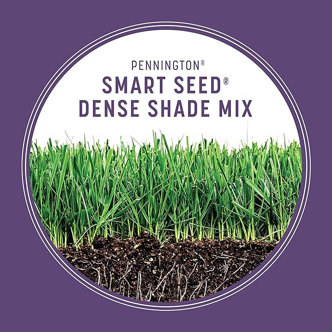 Pennington Smart Seed Dense Shade Grass Mix Bag 7 lb