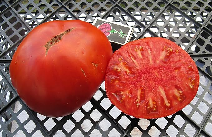 Seeds Vegetable Beefsteak Tomato Red Giant Indetereminate Non GMO for Planting Heirloom