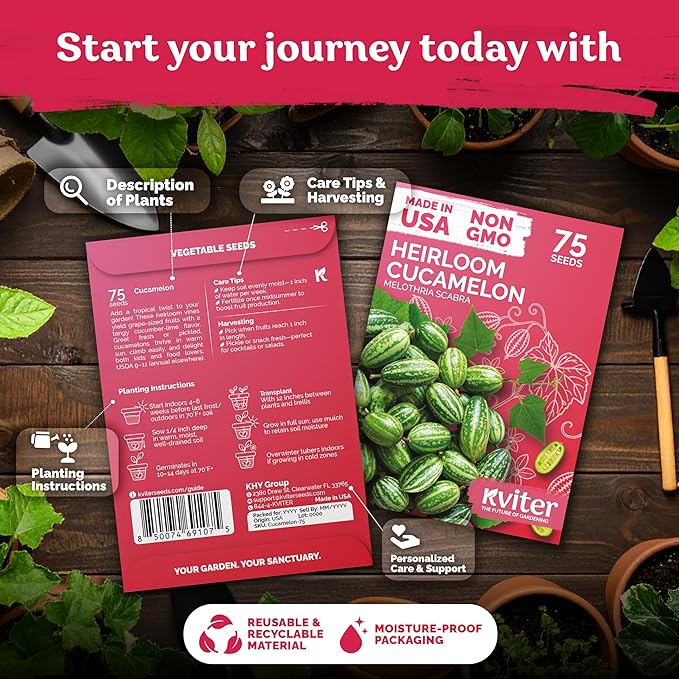 KVITER 75 Cucamelon Seeds for Planting (Melothria Scabra) – Mexican Sour Gherkin Seeds, Gherkin Cucumber, Mexican Mini Watermelon – Heirloom Vegetable Seed for Outdoor & Indoor Garden, Containers
