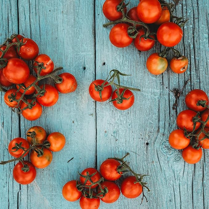 Tommy Toe Tomato - 50 Seeds - Rare Heirloom Cherry Tomato, Open-Pollinated Variety, Non-GMO Large Red Cherry Tomato Seeds for Planting in The Home Garden, Thresh Seed Company