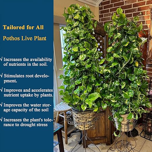 10 oz Pothos Plant Food Liquid Fertilizer - Organic Probiotic Nutrient Solution for Indoor Houseplants, Vibrant Leaves & Root Growth