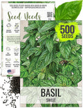 Seed Needs Sweet Genovese Basil Seeds for Planting - Non-GMO Heirloom & Untreated Culinary Herb Seed to Plant an Indoor or Outdoor Home Grown Kitchen Garden (1 Pack)