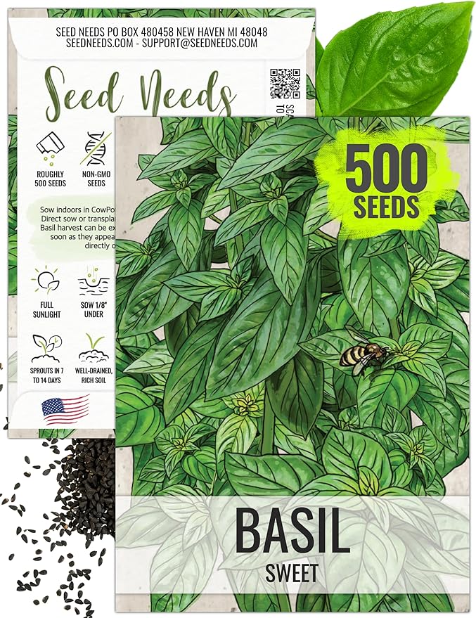 Seed Needs Sweet Genovese Basil Seeds for Planting - Non-GMO Heirloom & Untreated Culinary Herb Seed to Plant an Indoor or Outdoor Home Grown Kitchen Garden (1 Pack)