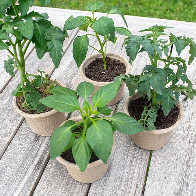 Back to The Roots Organic & PLANTABLE 4.25" Wide Seed Starting POTS (8 CT)