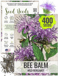 Seed Needs Bee Balm Seeds for Planting Wild Bergamot - Heirloom & Open Pollinated Perennial Flowers to Grow a Butterfly Garden to Attract Bees, Butterflies & Other Pollinators (1 Pack)