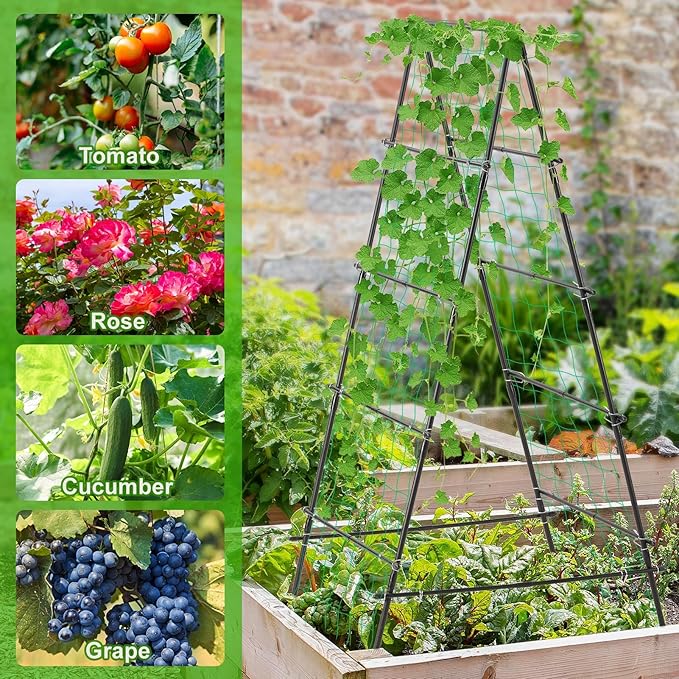 Garden Trellis for Climbing Plants, 71" H x 32" W Metal A-Frame Cucumber Trellis Outdoor Fruits Watermelon Plants Vegetable Tomato Squash Peas Beans, with Netting, Black