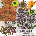 Seed Needs Milkweed Seeds for Planting Butterfly Orange/Common Pink Asclepias Flowers - Heirloom Wildflowers to Attract Monarch Butterflies to a Butterfly Garden