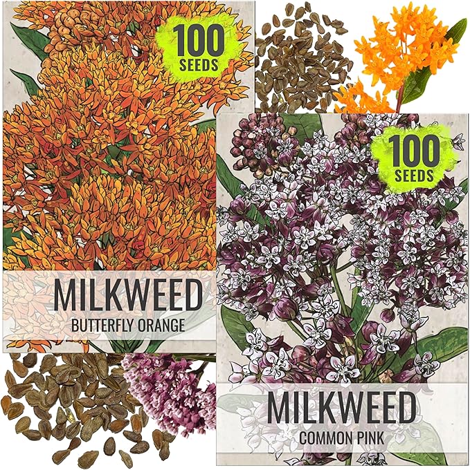 Seed Needs Milkweed Seeds for Planting Butterfly Orange/Common Pink Asclepias Flowers - Heirloom Wildflowers to Attract Monarch Butterflies to a Butterfly Garden