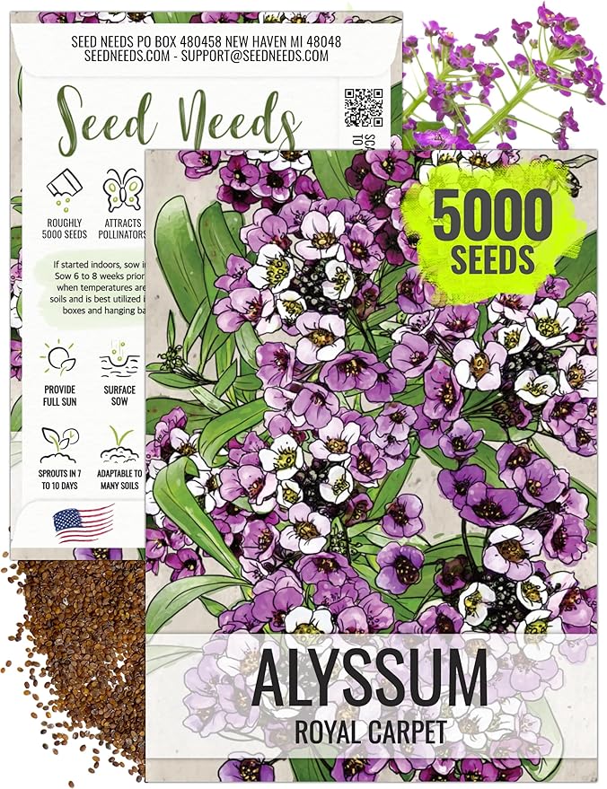 Seed Needs Royal Carpet Alyssum Seeds for Planting - Heirloom & Untreated - Tender Perennial Flowers to Attract Pollinators to Rock Gardens, Pots, Containers & Window Boxes (1 Pack)