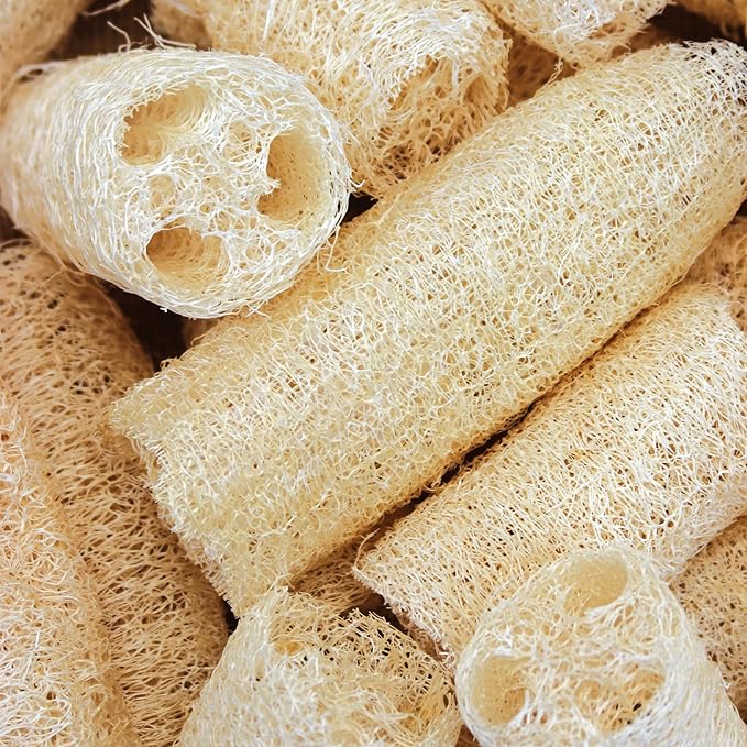 Burpee Luffa Gourd Seeds - Natural Sponge and Edible Vegetable