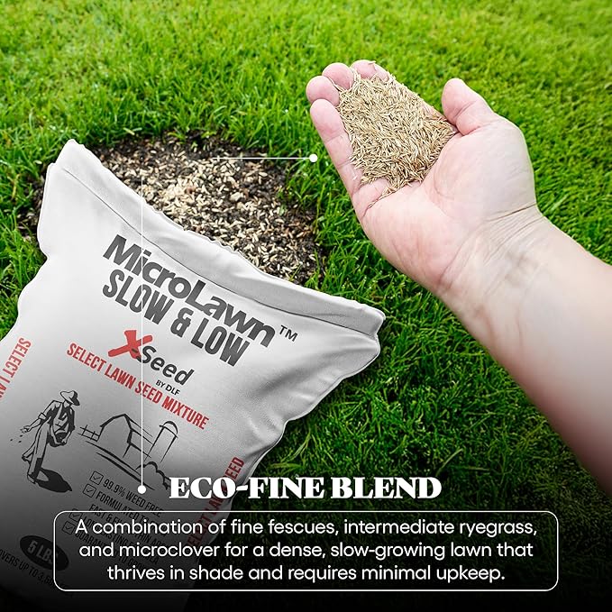 X-Seed Micro-Lawn Slow & Low Grass Seed for Cool Season Lawns, No Mow Natural Areas, Sun to Full Shade, Slow and Low Growing Micro Clover, Creeping Red Fescue, Intermediate Ryegrass, Starter Bag, 5LB