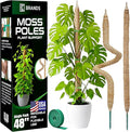 K-Brands 48'' Bendable Moss Pole Monstera Plant Support - Coconut Palm Fiber - Brown - Rectangular - Climbing Plant Support Structure