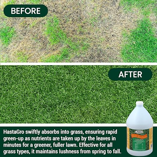 Medina 12-4-8 HastaGro Lawn, 1 gallon